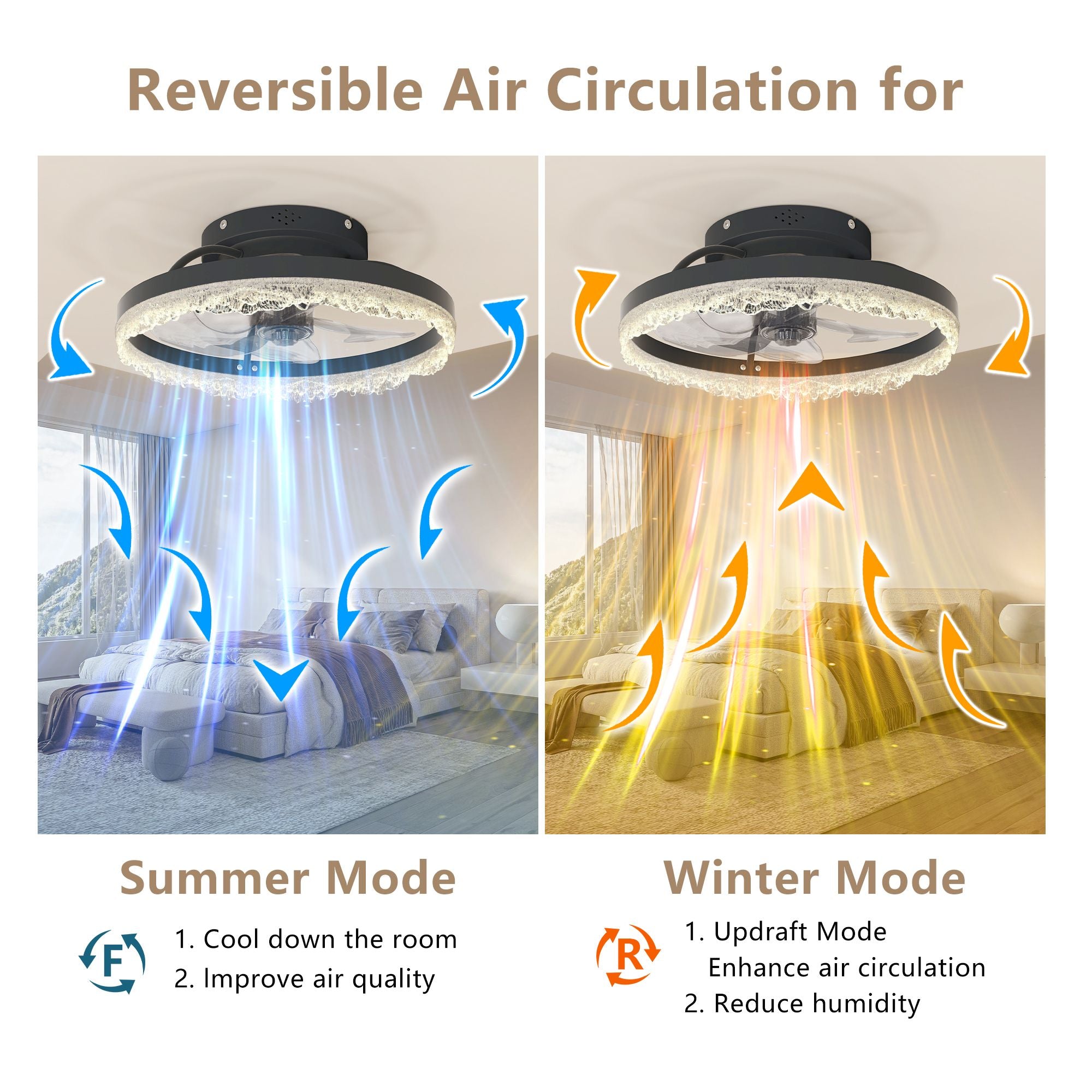 537250031